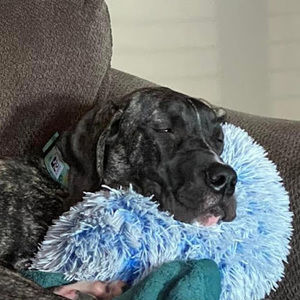 Meet your Posher, Kendra